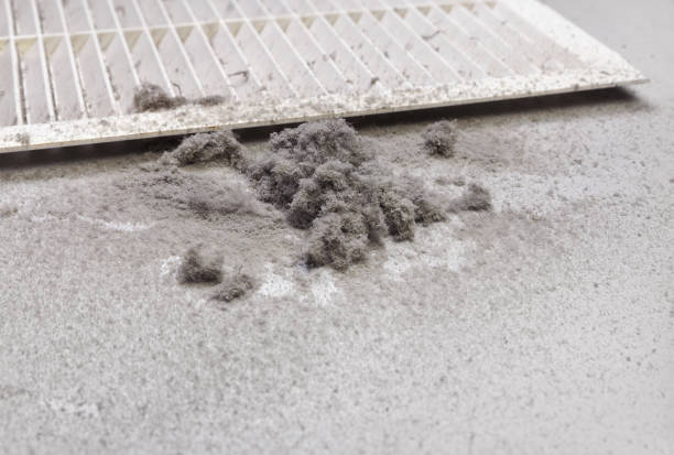 Best Professional Duct Cleaning Services  in Holladay, UT