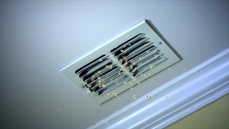 Best HVAC Air Duct Cleaning  in Holladay, UT