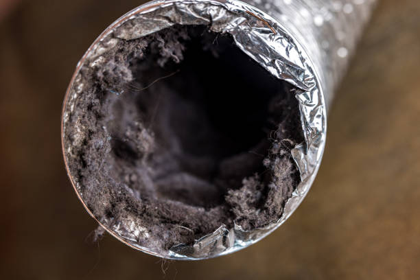Best Affordable Duct Cleaning Services  in Holladay, UT
